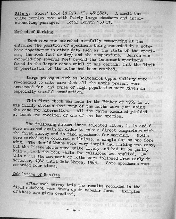 Page 14.jpg